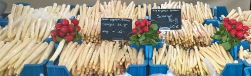 spargel stand